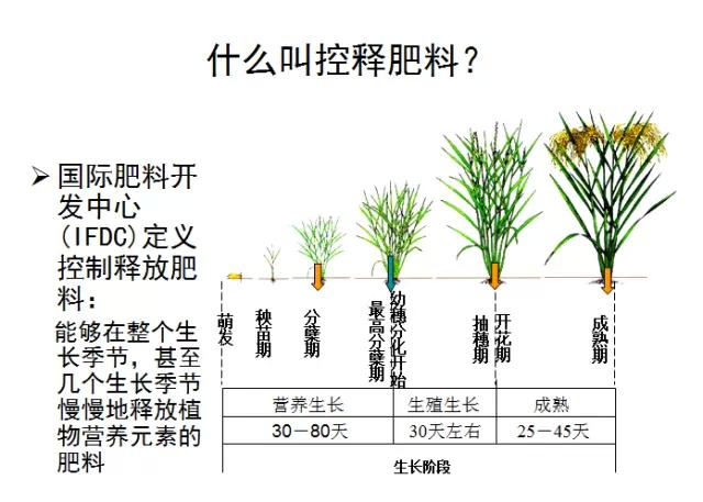 茄子视频破解版缓控释肥高科技