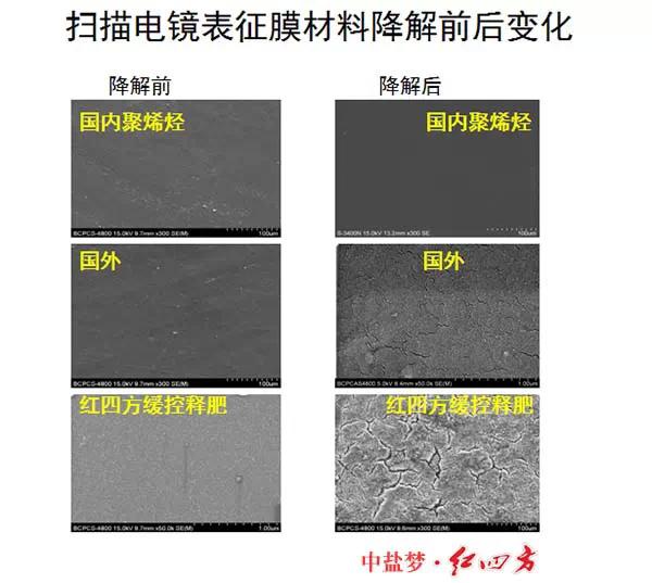 茄子视频破解版缓控释肥高科技