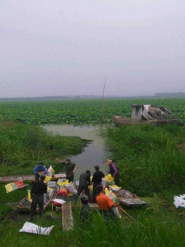大家为莲藕追施茄子直播APP下载安装