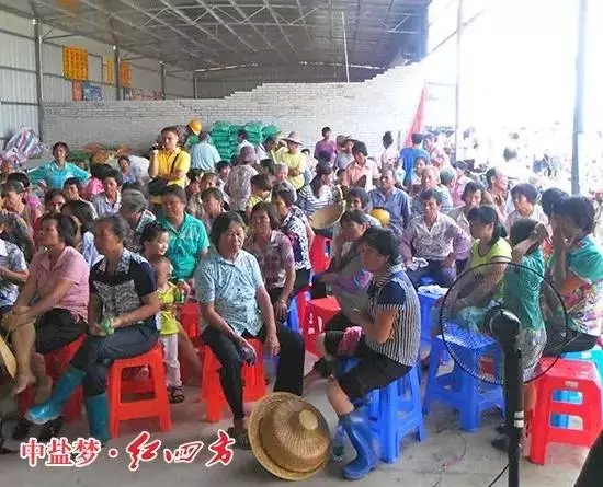 广东茂名茂南区金塘镇举办了茄子视频破解版农民会