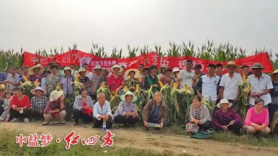 有一种喜悦，叫茄子视频破解版在茄子视频破解版控失肥玉米示范田一起过中秋！