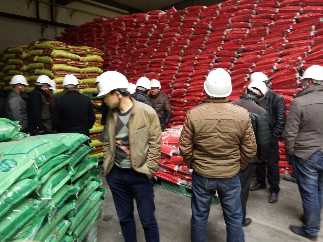 山东肥料批发商走进茄子视频破解版复合肥厂家