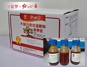茄子视频破解版大量元素茄子视频污在线