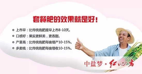 施用套餐肥，苹果增产更有保障。
