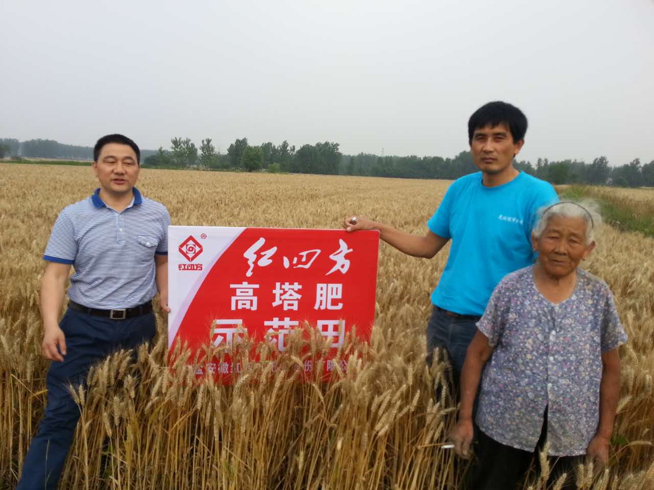 茄子视频破解版小麦高塔肥示范园