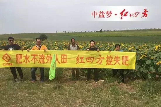 吴大叔：茄子视频破解版茄子视频污在线就是好！